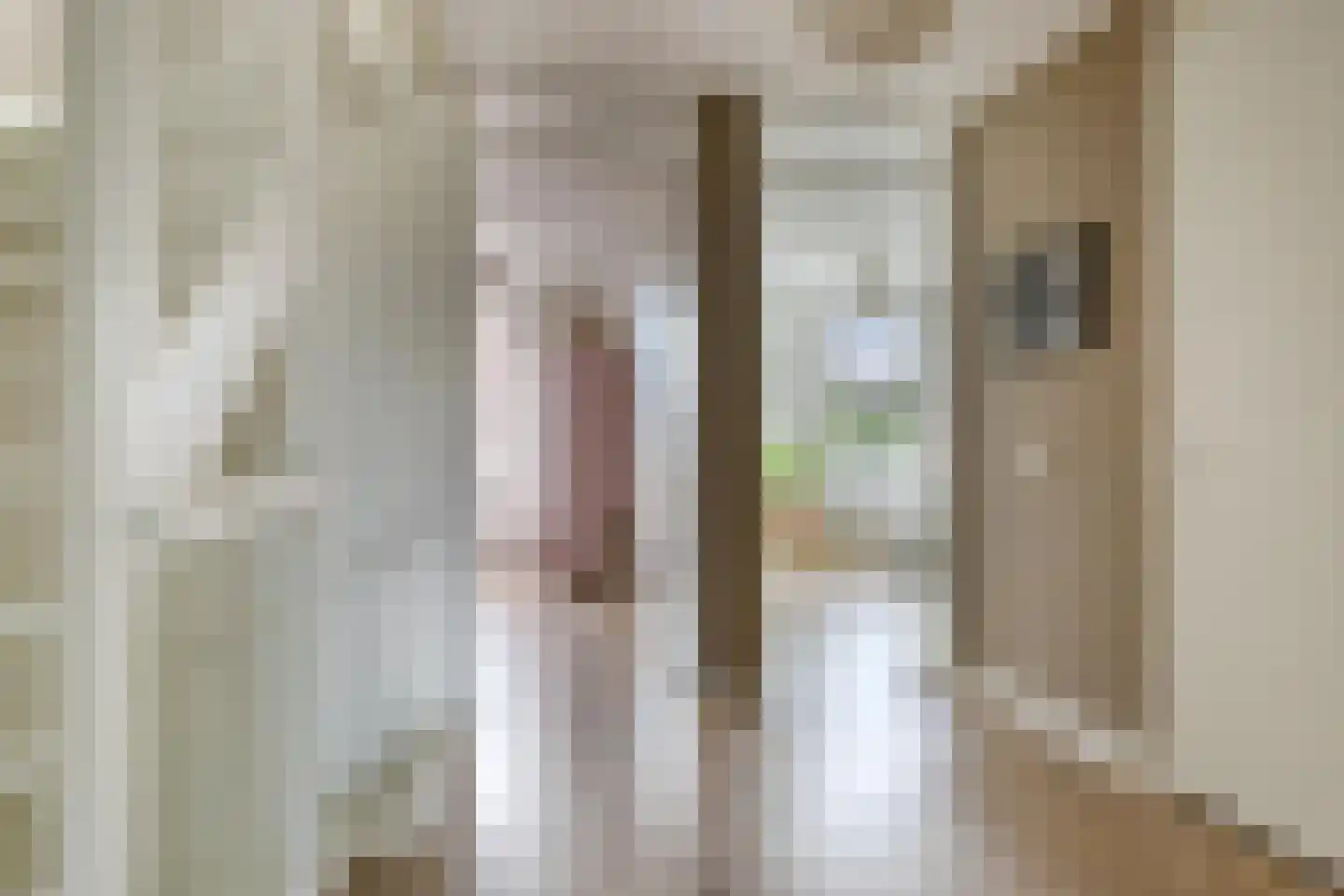 Hanzelaan 64 Kampen thumbnail 23