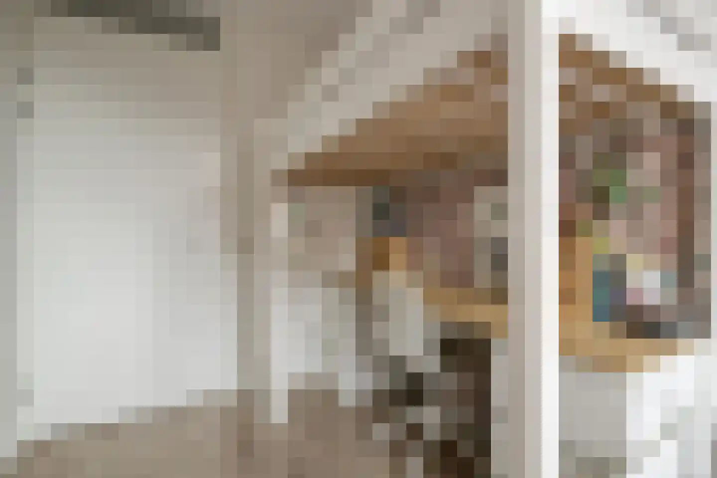 Hanzelaan 64 Kampen thumbnail 35