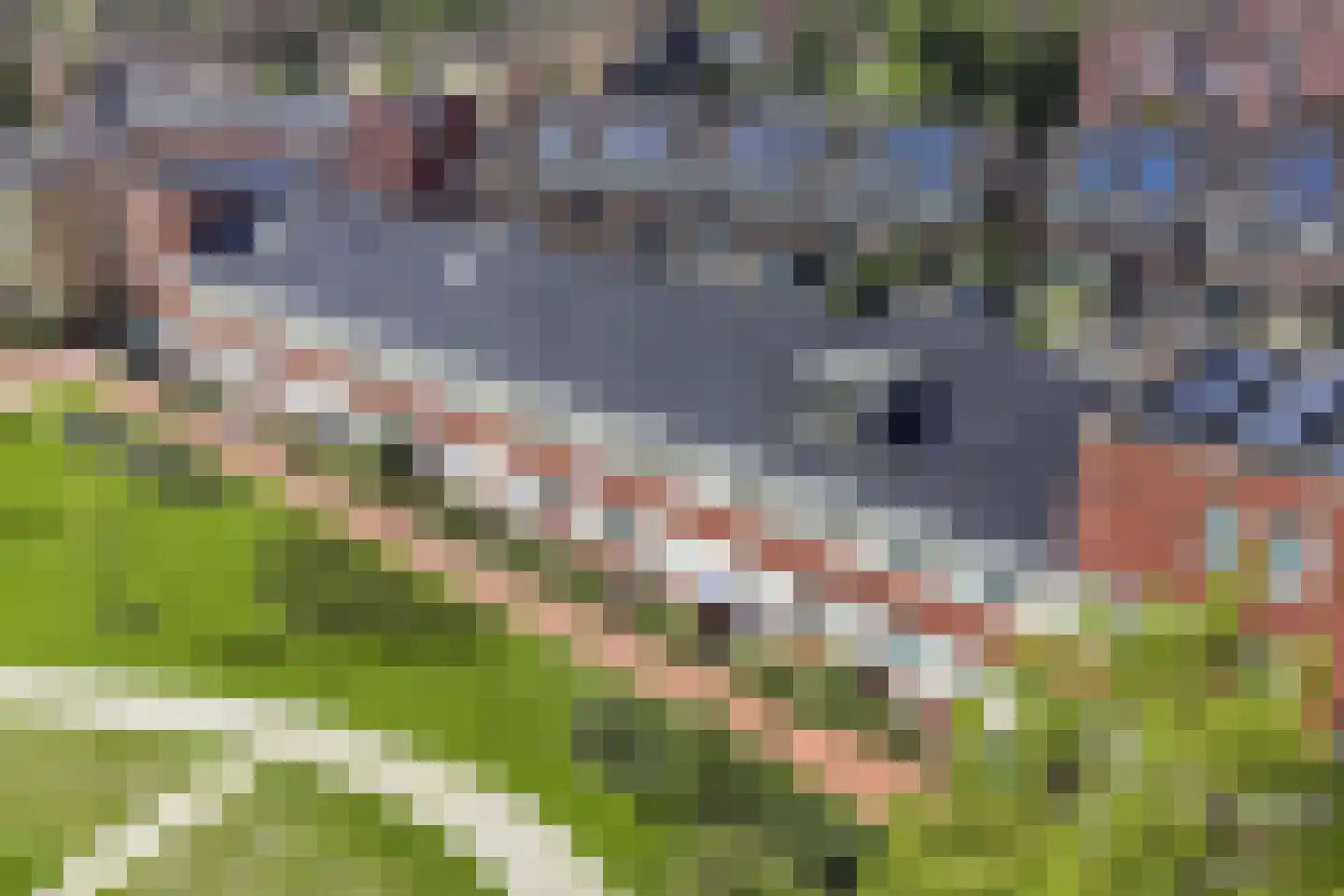 Hanzepark 10 Lelystad thumbnail 9