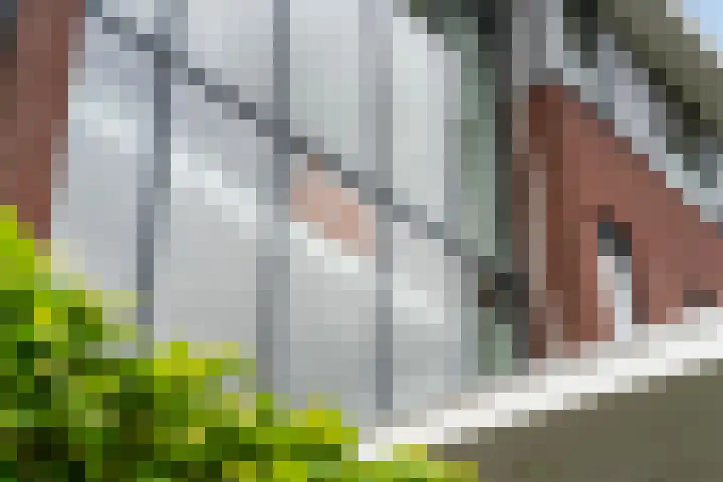 Hanzestaete 16 Bolsward thumbnail 12