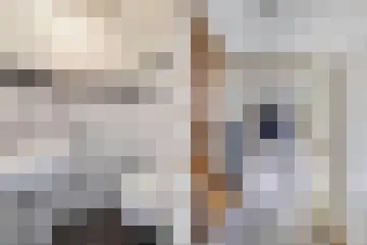 Hanzestraat 10 Hindeloopen thumbnail 18