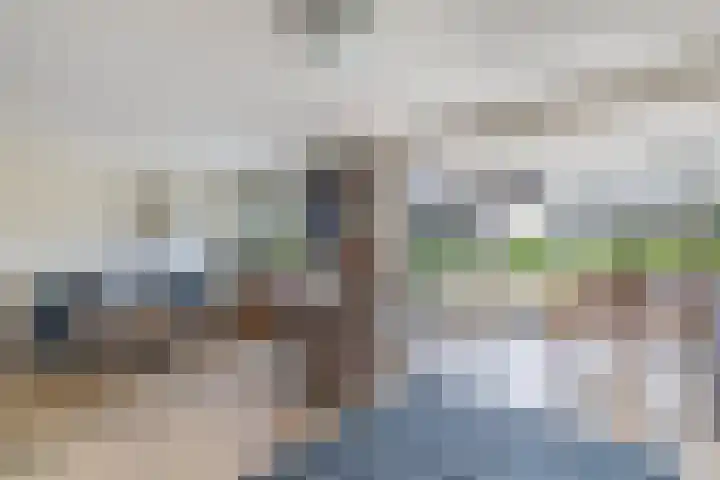 Hanzestraat 10 Hindeloopen thumbnail 22