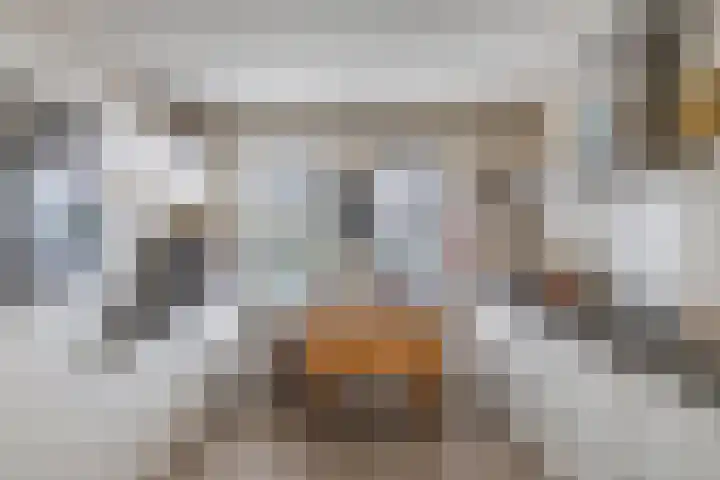 Hanzestraat 10 Hindeloopen thumbnail 27