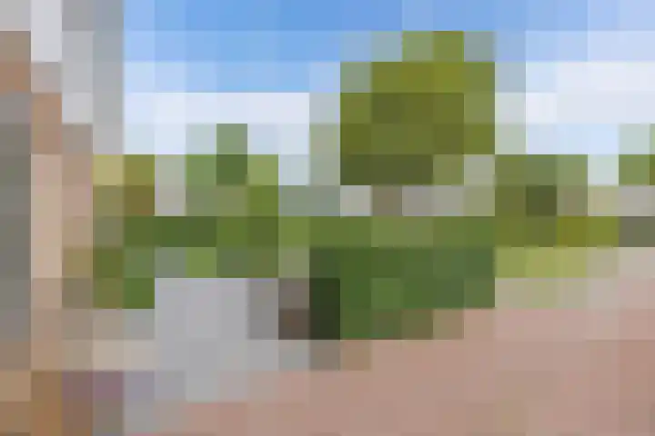 Hanzestraat 10 Hindeloopen thumbnail 4