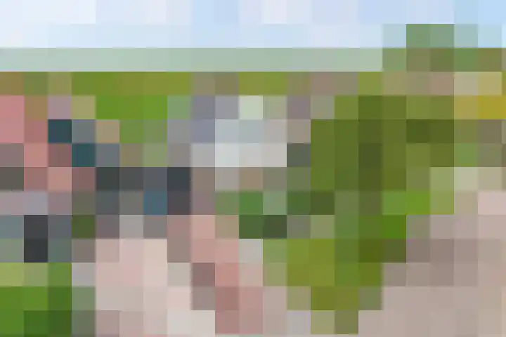 Hanzestraat 10 Hindeloopen thumbnail 8