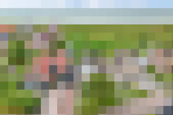 Hanzestraat 10 Hindeloopen thumbnail 9