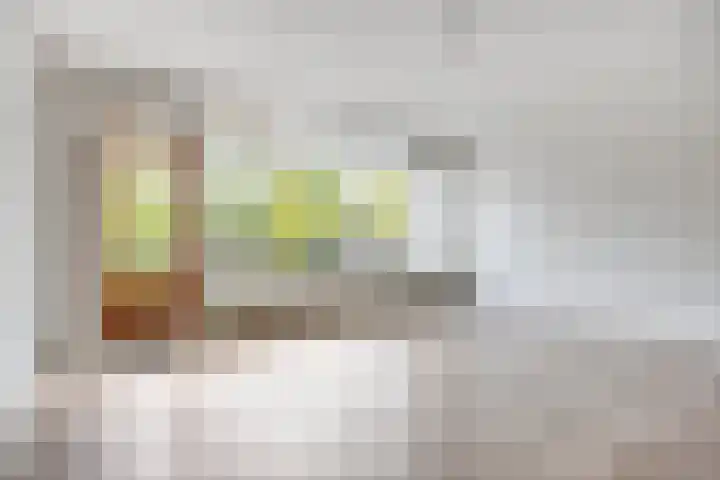 Hanzestraat 128 Arnhem thumbnail 10