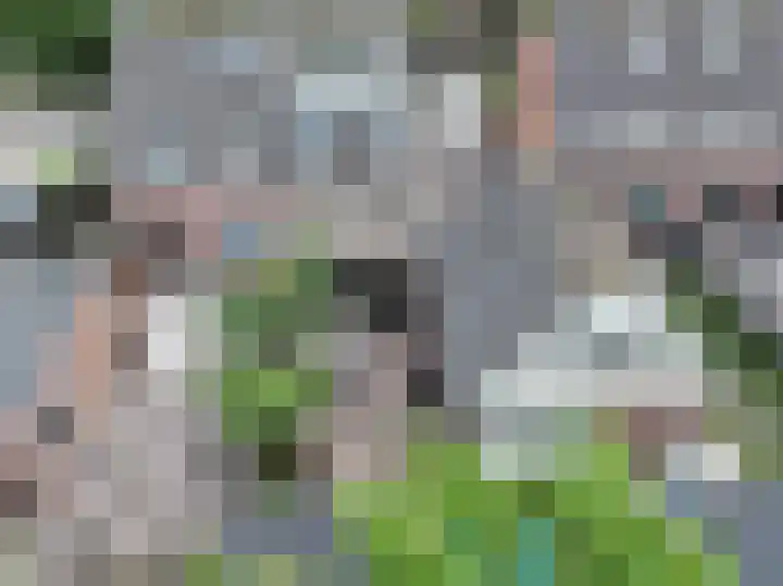 Hanzestraat 15 Aardenburg thumbnail 29