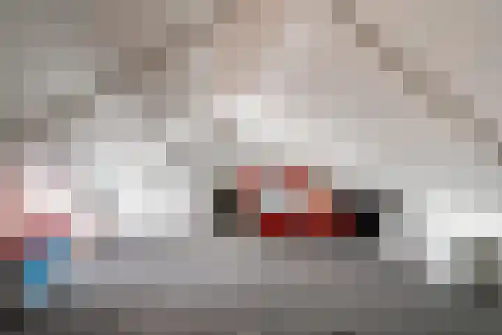 Hanzestraat 16 Elburg thumbnail 27