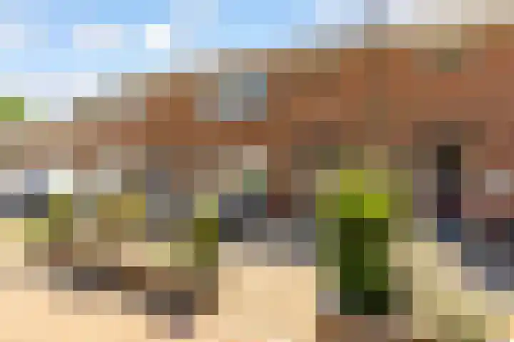 Hanzestraat 16 Elburg thumbnail 4