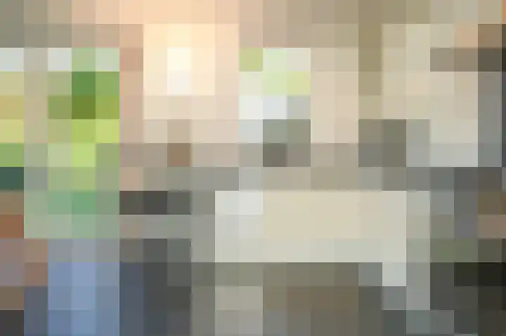 Hanzestraat 3 Maasbommel thumbnail 15
