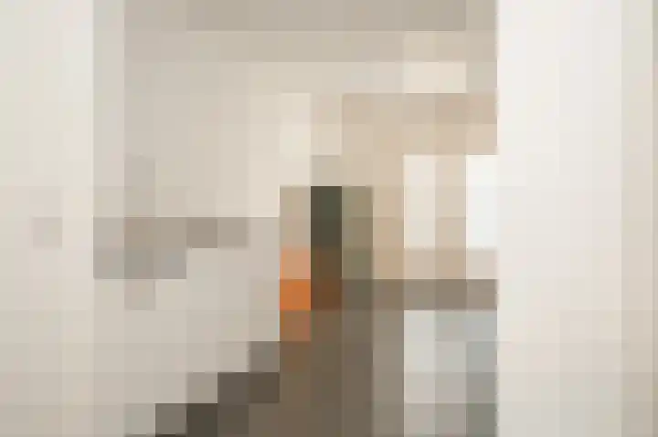 Hanzestraat 3 Maasbommel thumbnail 23