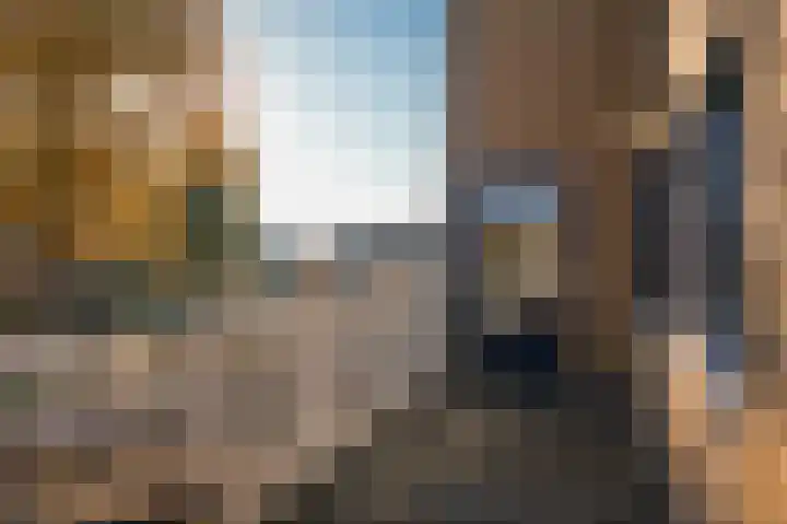 Hanzestraat 3 Maasbommel thumbnail 30