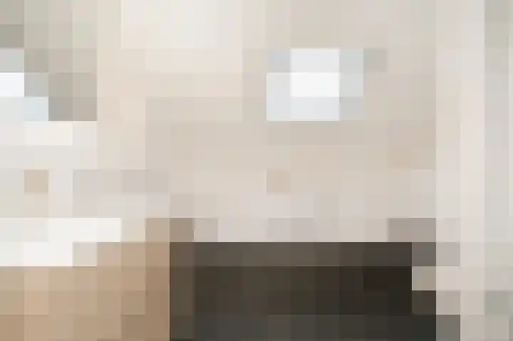 Hanzestraat 3 Maasbommel thumbnail 31