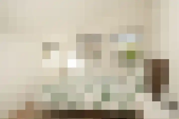 Hanzestraat 3 Maasbommel thumbnail 34