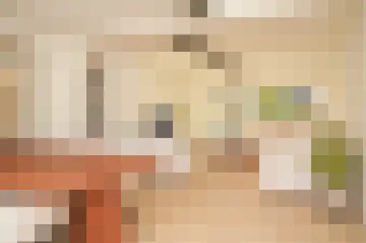 Hanzestraat 3 Maasbommel thumbnail 4