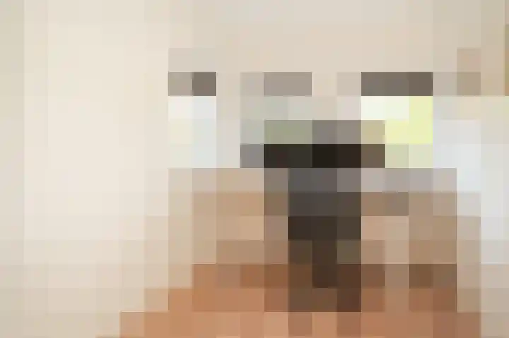Hanzestraat 3 Maasbommel thumbnail 40