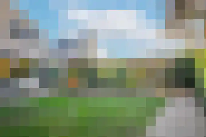 Hanzestraat 3 Maasbommel thumbnail 45