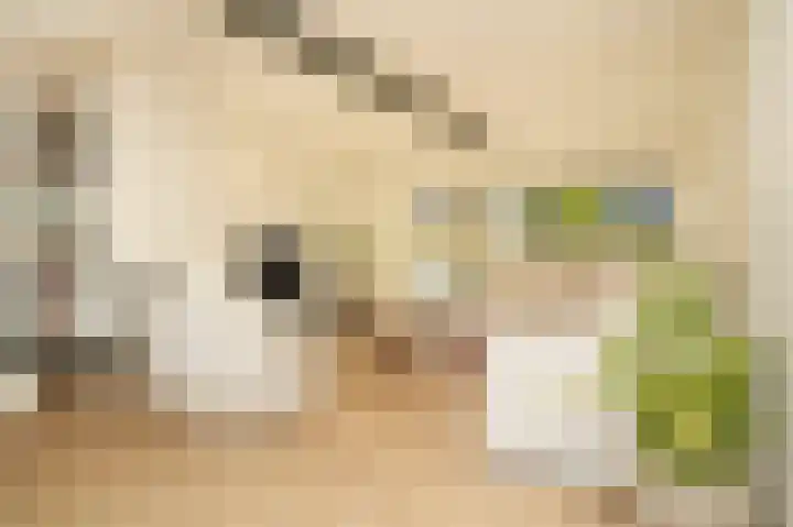 Hanzestraat 3 Maasbommel thumbnail 7