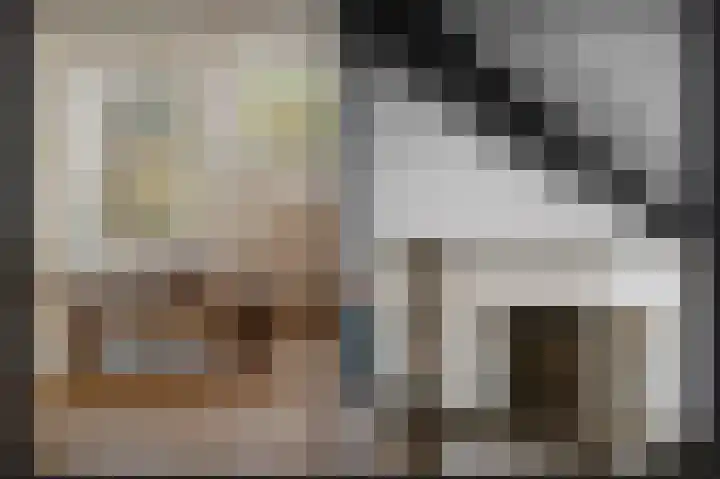 Hanzestraat 3 Maasbommel thumbnail 9
