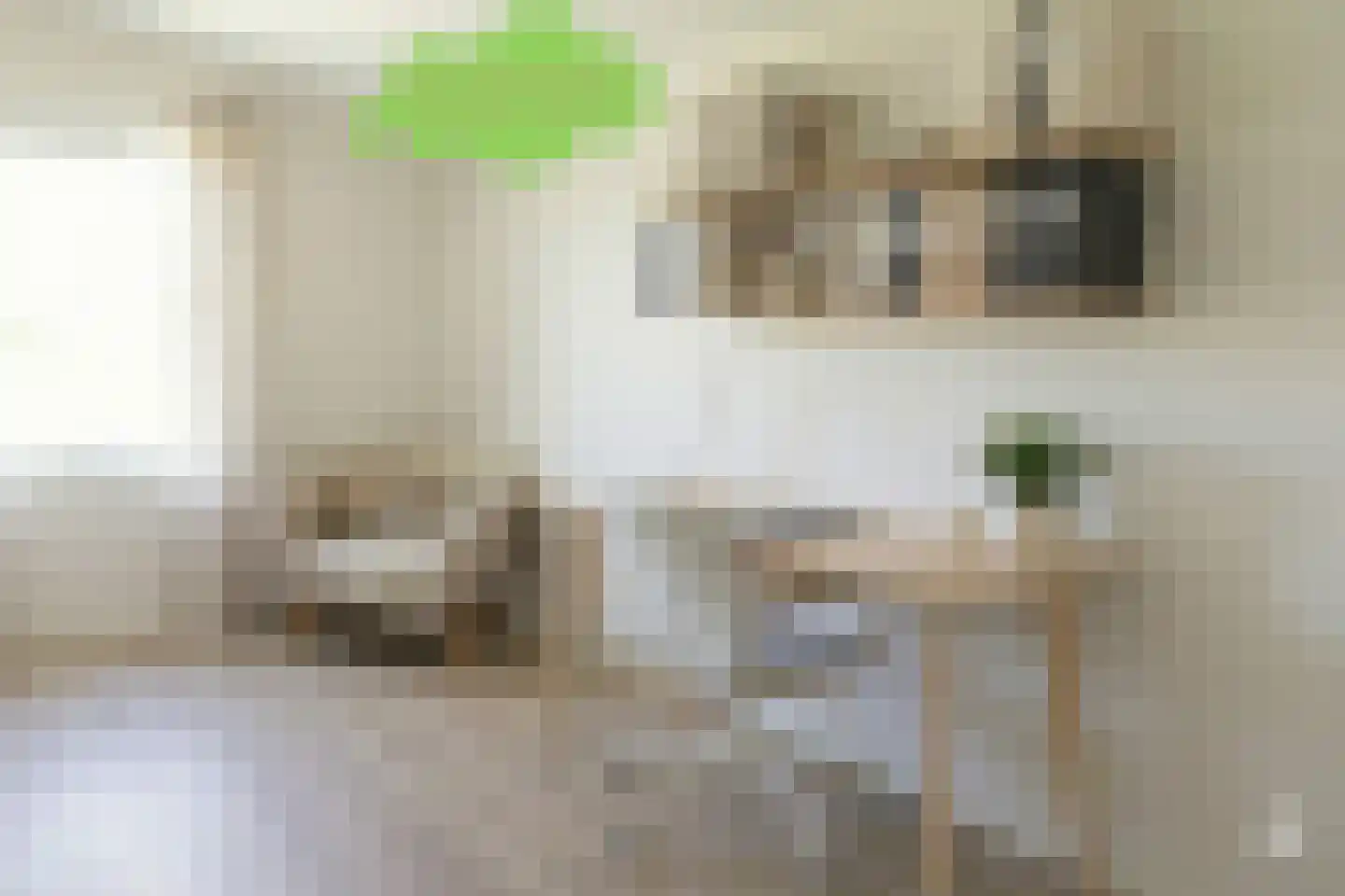 Hanzestraat 35 Aardenburg thumbnail 28