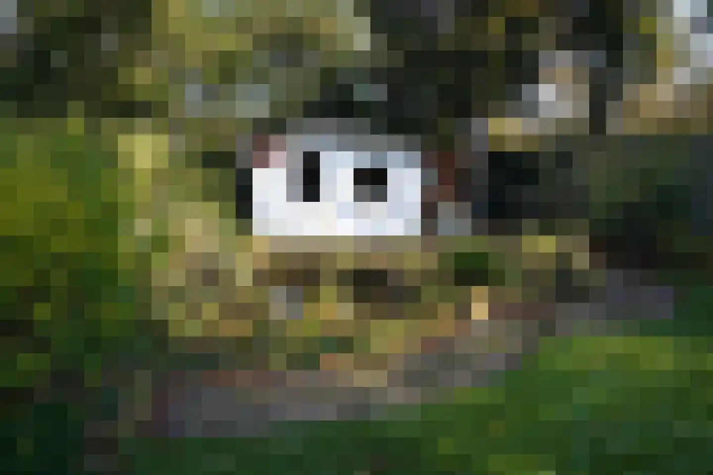 Hanzestraat 35 Aardenburg thumbnail 35