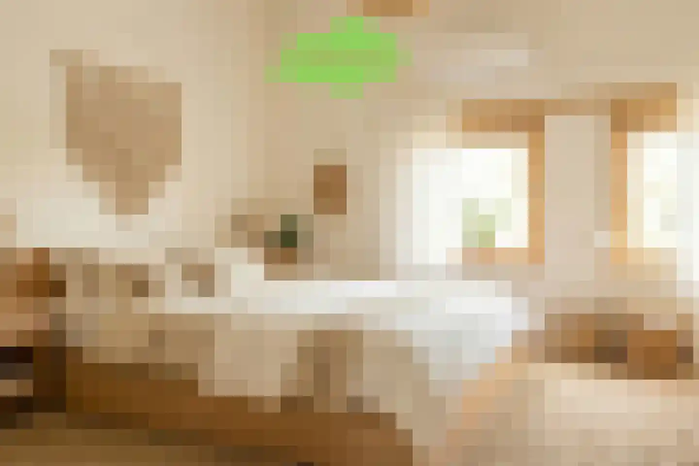 Hanzestraat 35 Aardenburg thumbnail 63