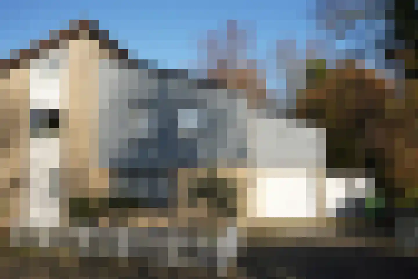 Hanzestraat 35 Aardenburg thumbnail 81