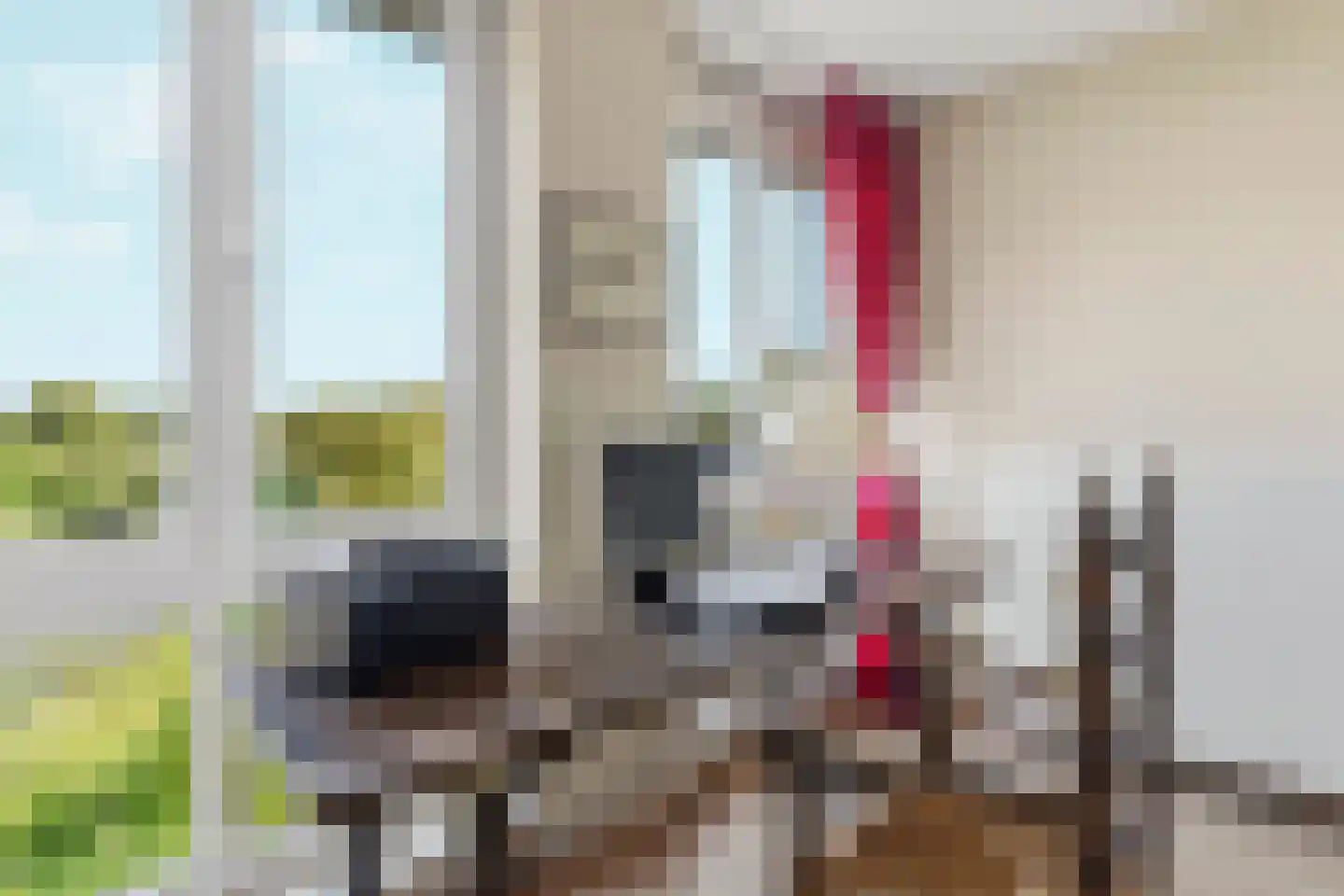 Hanzeweg 16 Doesburg thumbnail 18