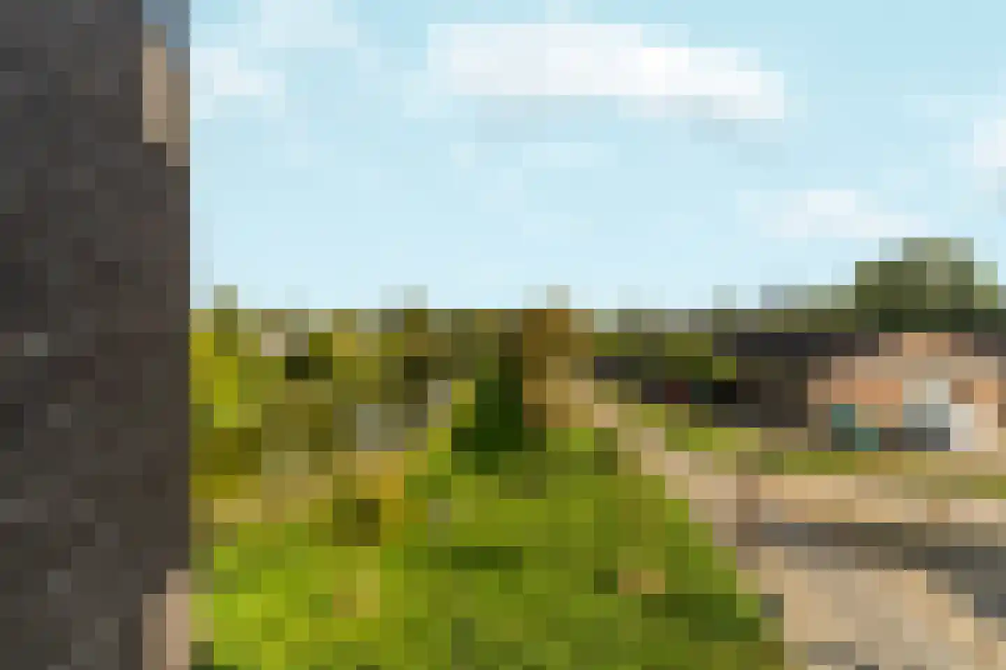 Hanzeweg 16 Doesburg thumbnail 22