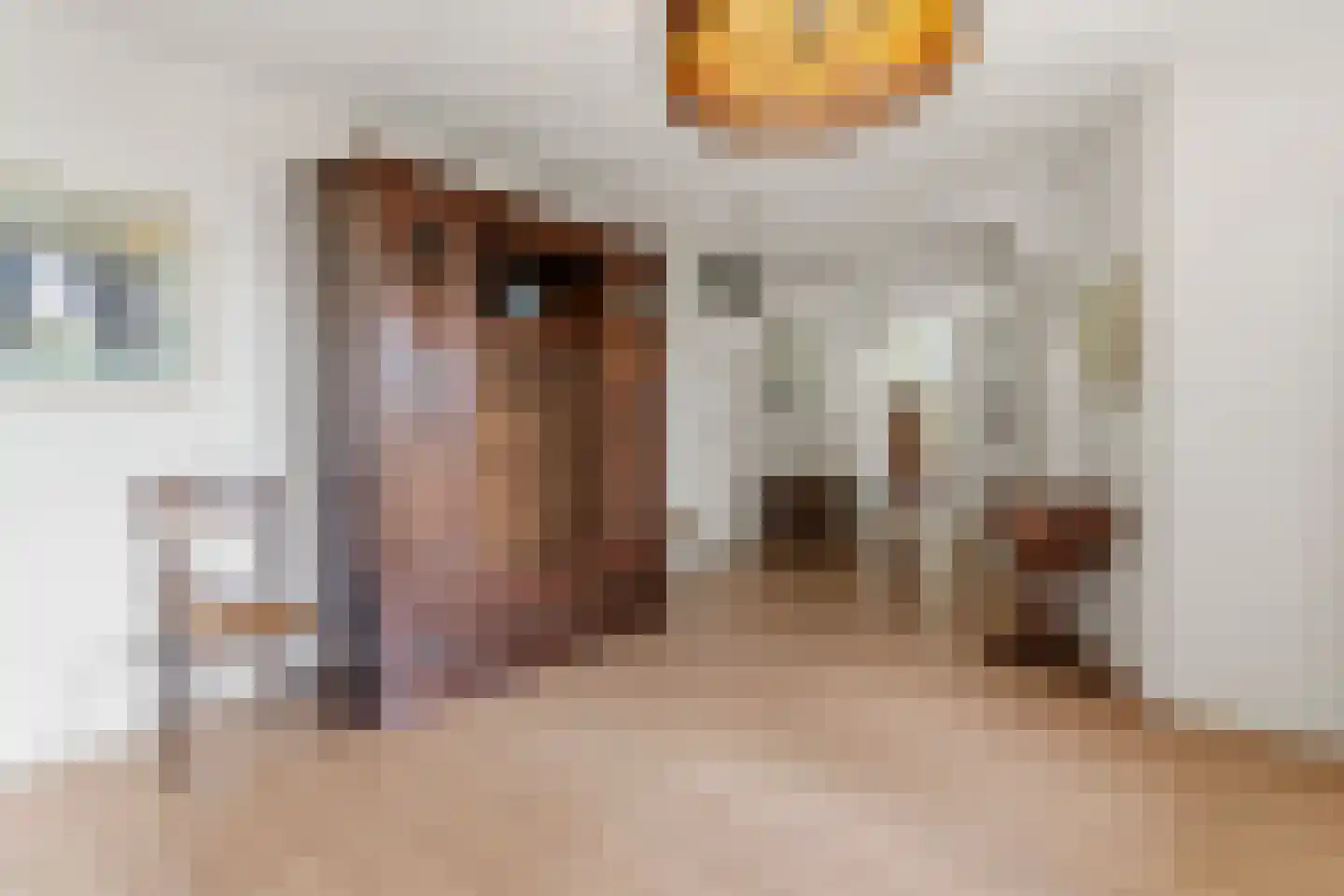 Hanzeweg 16 Doesburg thumbnail 32