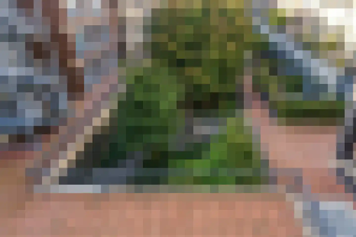 Hanzeweg 16 Doesburg thumbnail 37