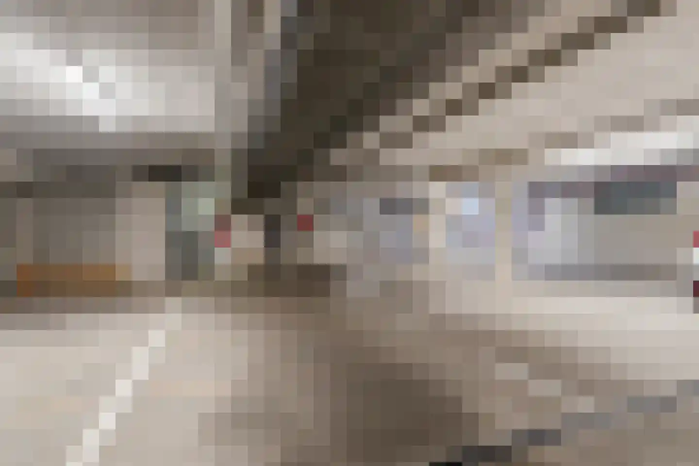 Hanzeweg 16 Doesburg thumbnail 41