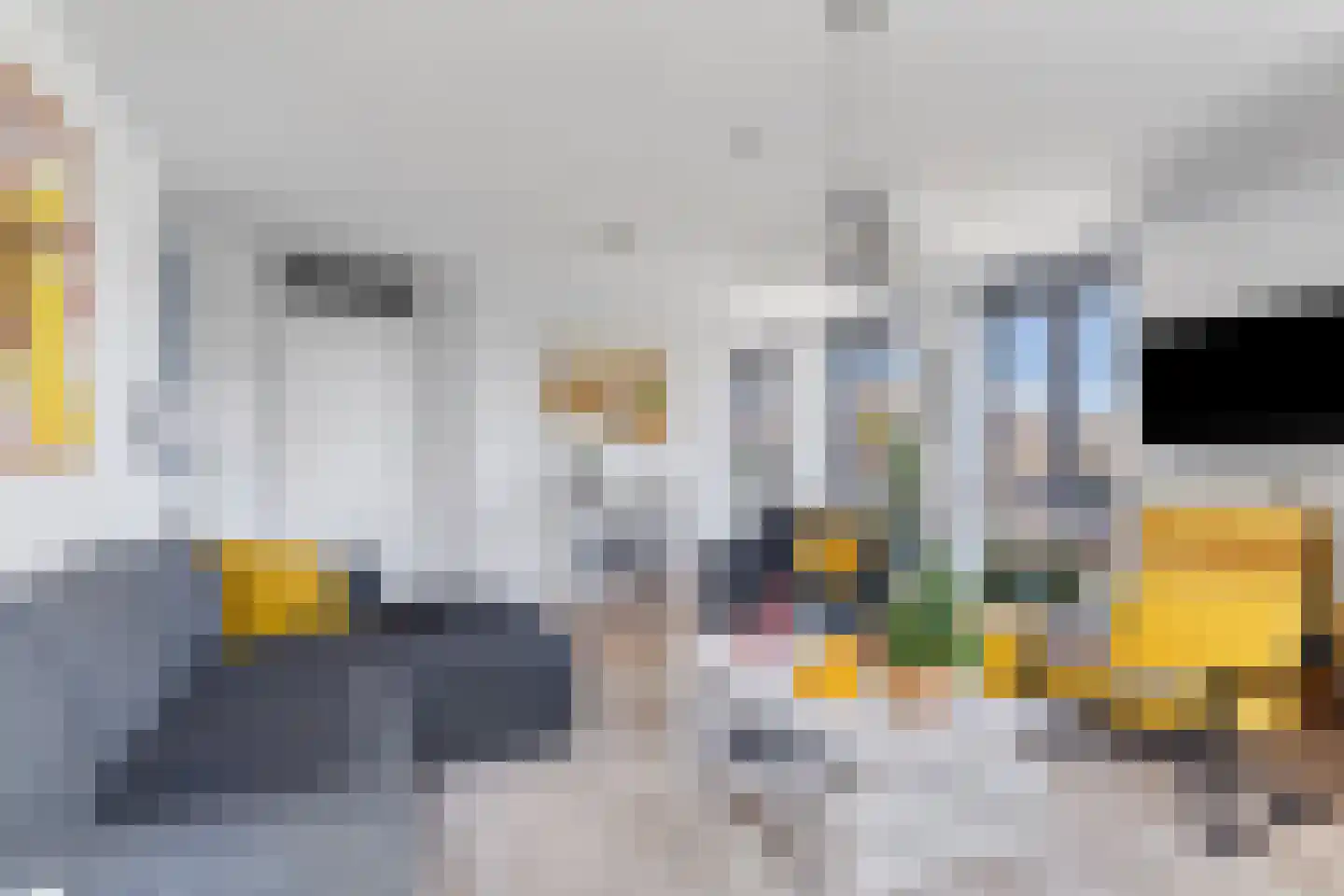 Hanzeweg 18 Doesburg thumbnail 14