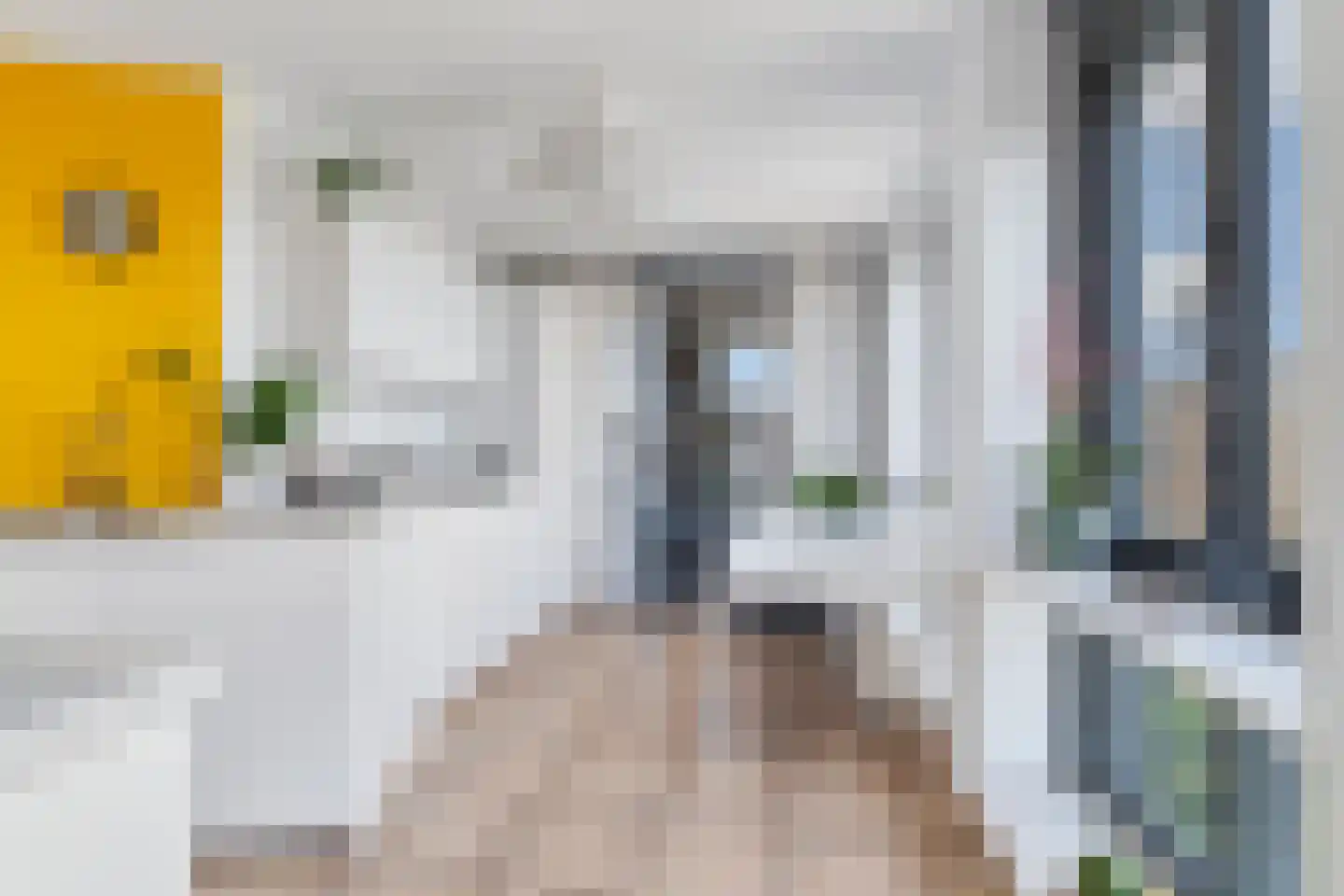 Hanzeweg 18 Doesburg thumbnail 16