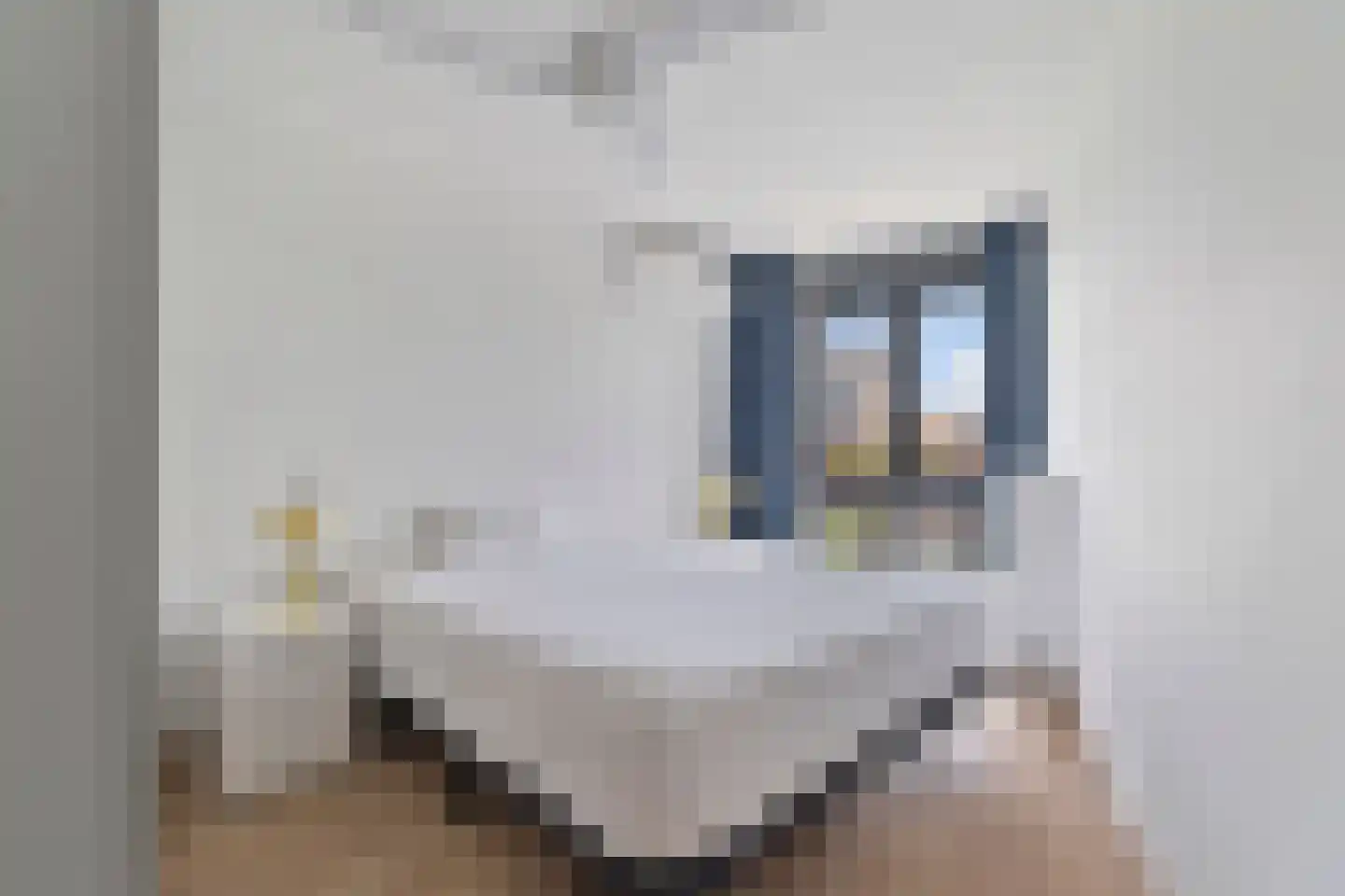 Hanzeweg 18 Doesburg thumbnail 21