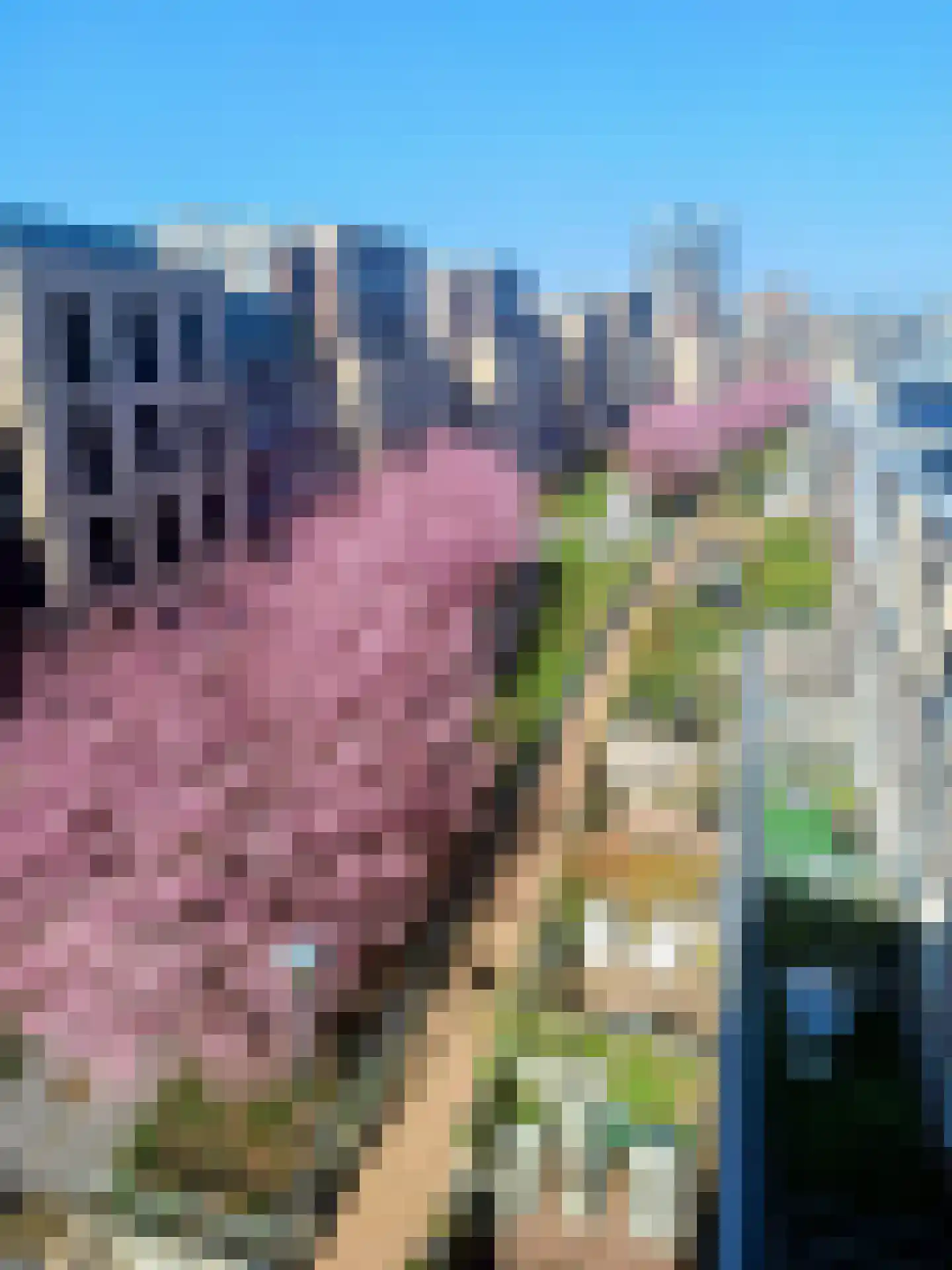 Hanzeweg 18 Doesburg thumbnail 31