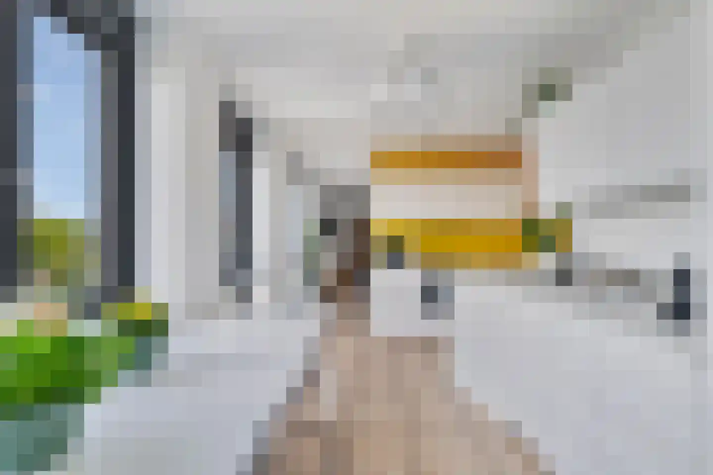 Hanzeweg 18 Doesburg thumbnail 4