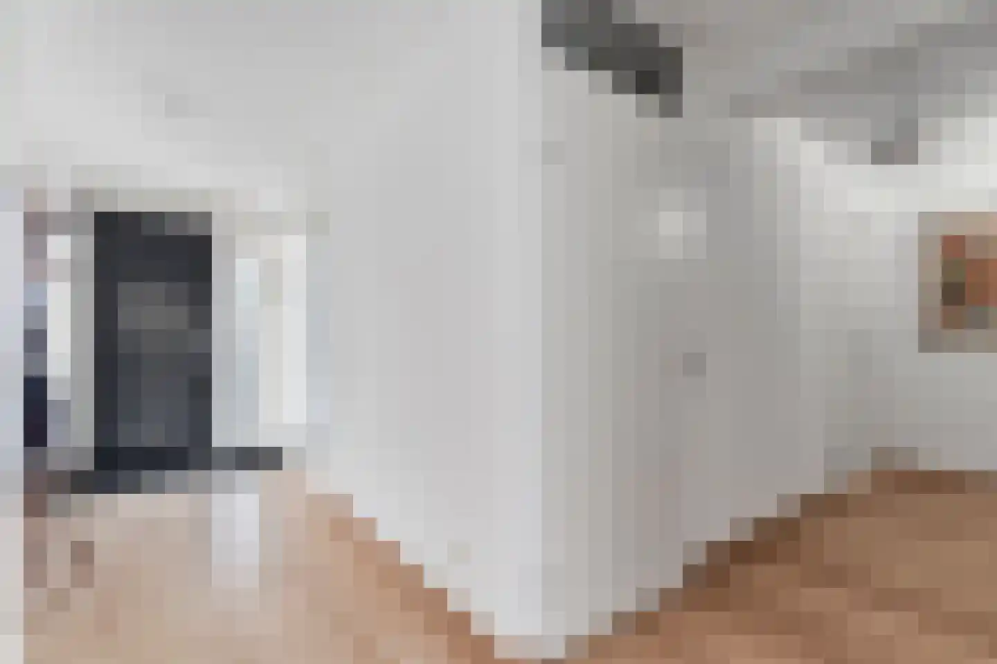 Hanzeweg 18 Doesburg thumbnail 9