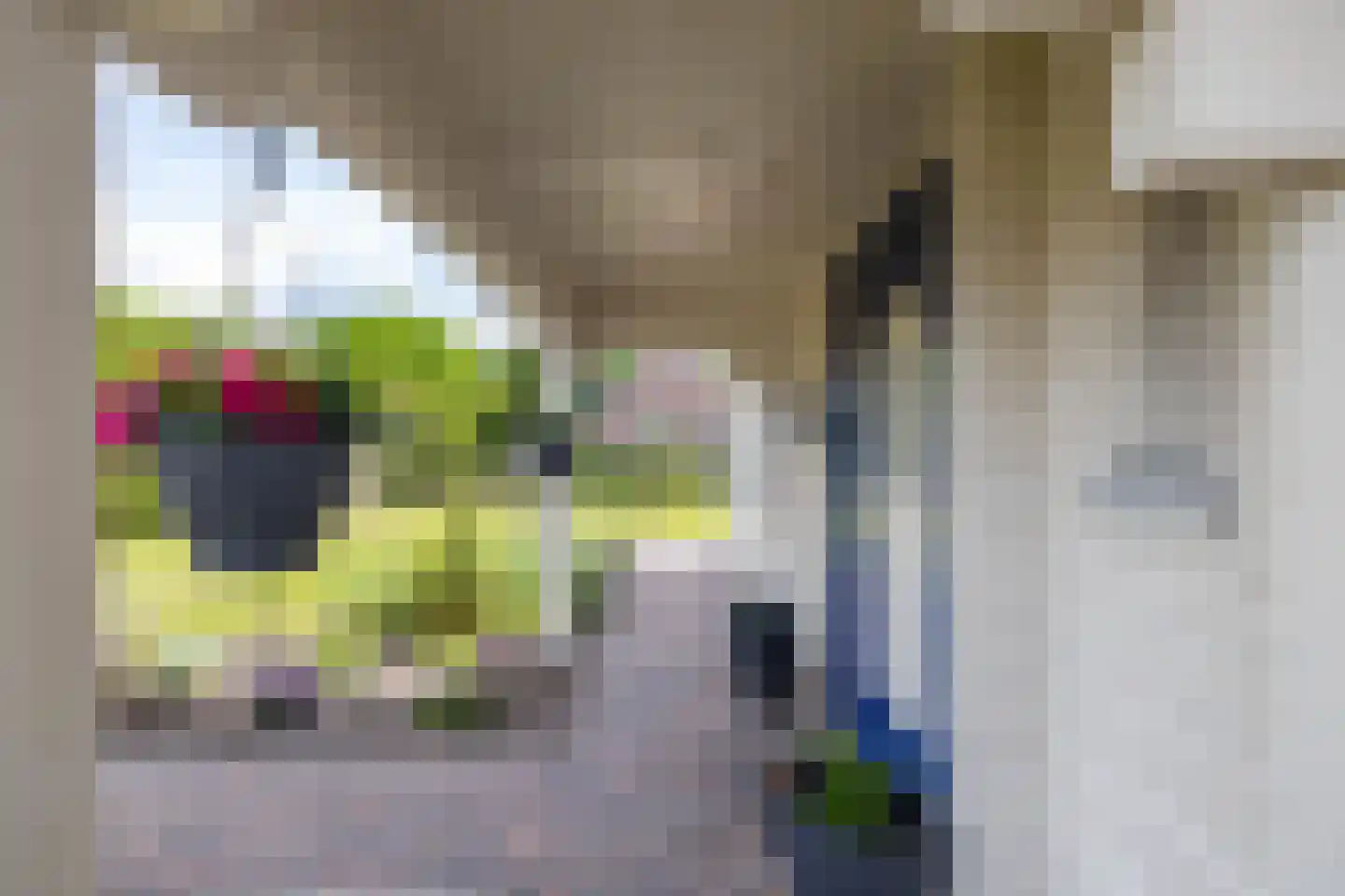 Hanzeweg 5 Zuidbroek thumbnail 21