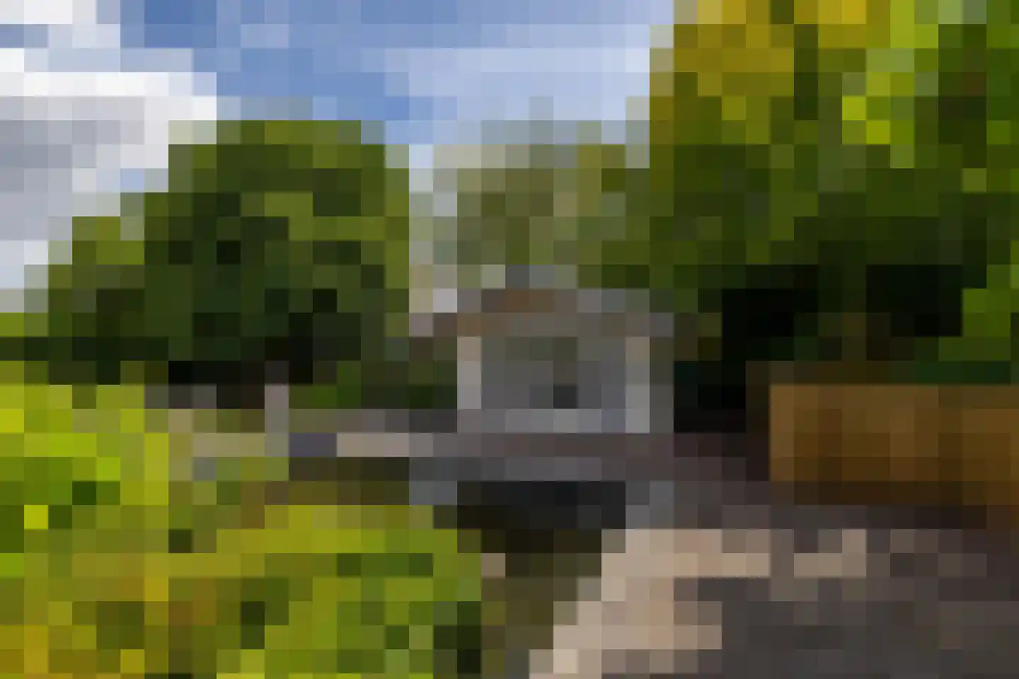 Hanzeweg 5 Zuidbroek thumbnail 25