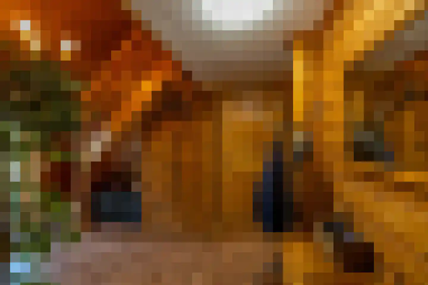 Hanzeweg 5 Zuidbroek thumbnail 43