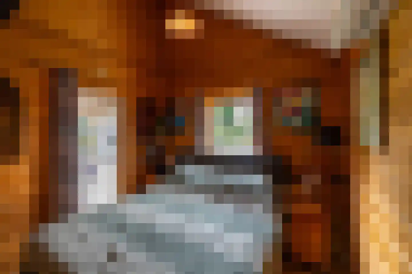 Hanzeweg 5 Zuidbroek thumbnail 47