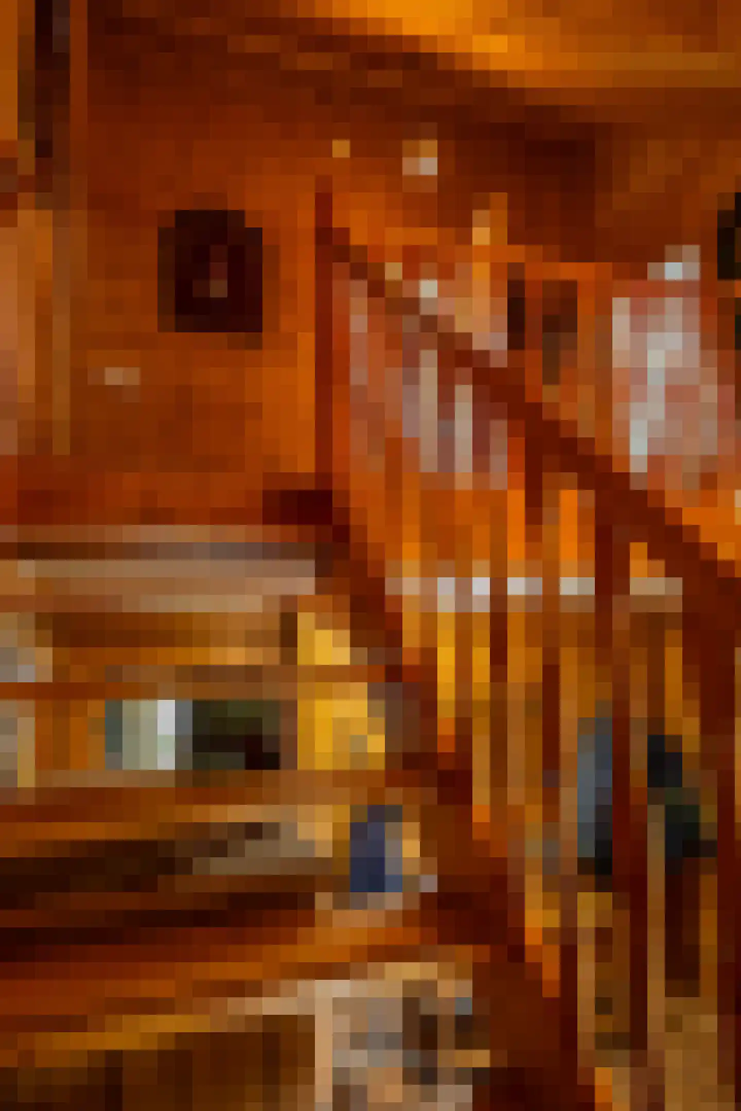 Hanzeweg 5 Zuidbroek thumbnail 62