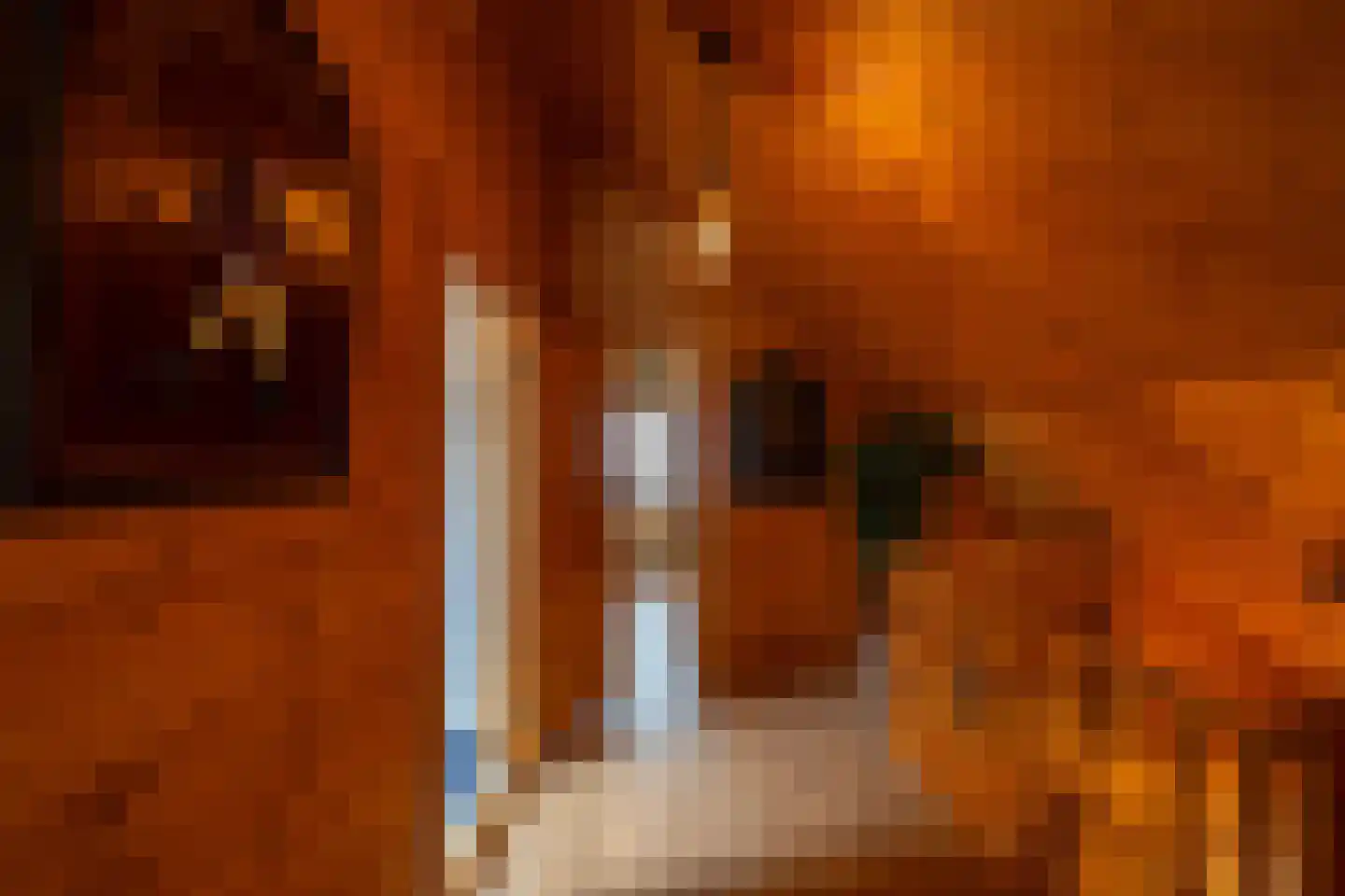 Hanzeweg 5 Zuidbroek thumbnail 69