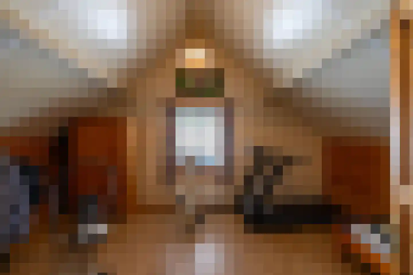 Hanzeweg 5 Zuidbroek thumbnail 70
