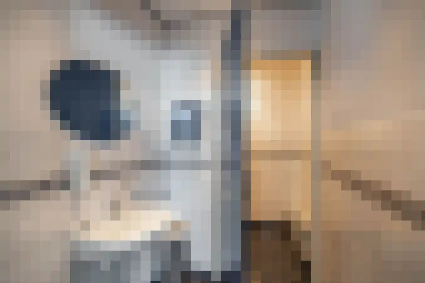 Hanzeweg 5 Zuidbroek thumbnail 81