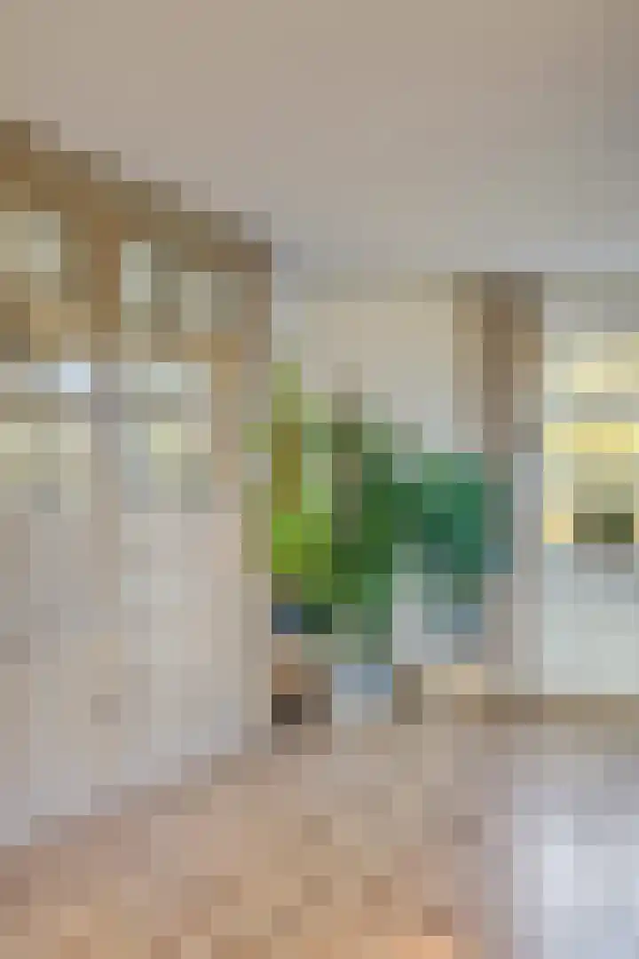 Hanzeweg 52 Almere thumbnail 31