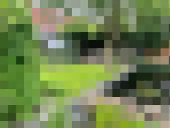 Hanzeweg 52 Almere thumbnail 4