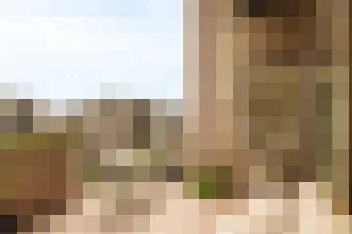 Haparandadam 2 A 2 Amsterdam thumbnail 13